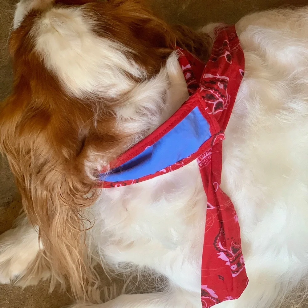 COOLING Red Bandana Dog Collar - Rustic Boho Bow Tie - Unisex Dogs Pet Wrap